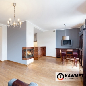 Каминная топка KAWMET W3 PLB (16.7 kW). Фото 7