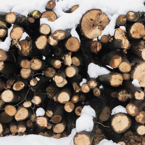 Які дрова найкраще гріють взимку: порівняння порід